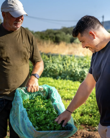 Cretan ingredients